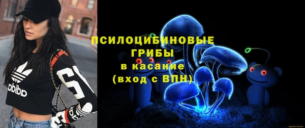 дмт Пролетарск