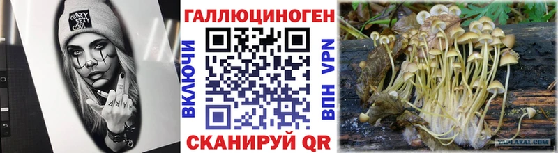 Псилоцибиновые грибы ЛСД  Плавск 