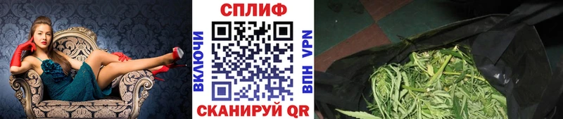Каннабис Ganja  цена   Плавск 